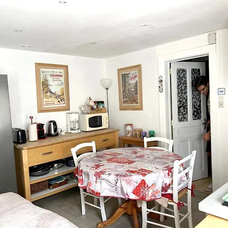 Appartement d'une chambre a Gerardmer a 900 m des pistes avec jardin amenage et wifi * Gérardmer