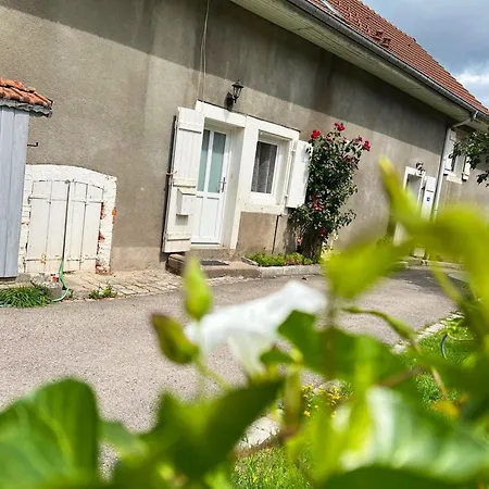 Appartement Confortable A Gerardmer 40 M² Proximite Pistes Σπίτι διακοπών *