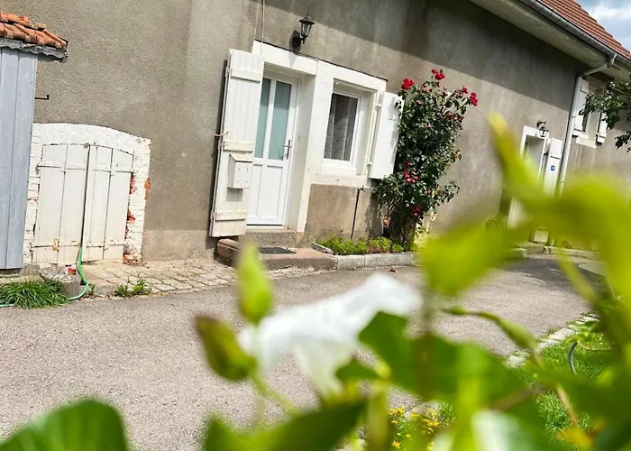 Appartement Confortable A Gerardmer 40 M² Proximite Pistes Prázdninový dům *